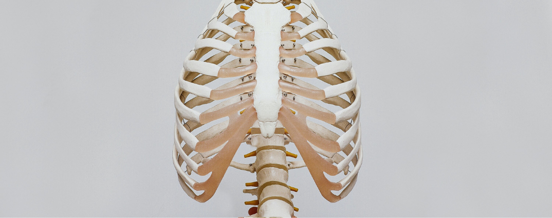 Edema osseo vertebrale: cos'è e quando è sintomo di spondilite